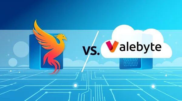 PhoenixNAP vs Valebyte: enterprise or is a budget option enough